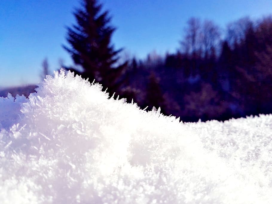 Snow, Beauty, effect, winter, cold temperature, white color HD wallpaper