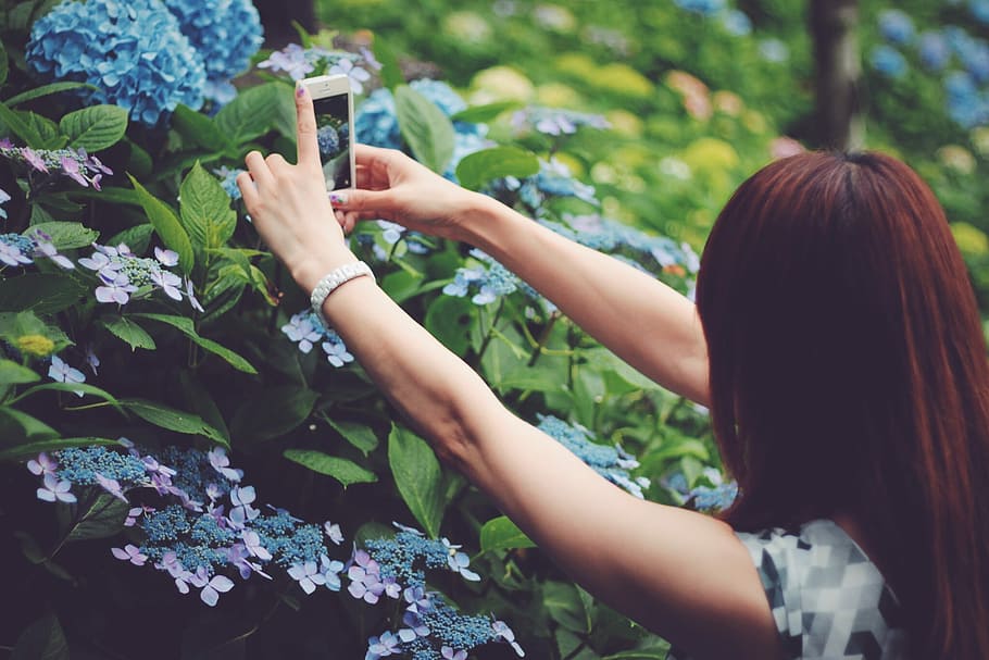 tilt lens photography of woman with red hair taking picture of a flower HD wallpaper