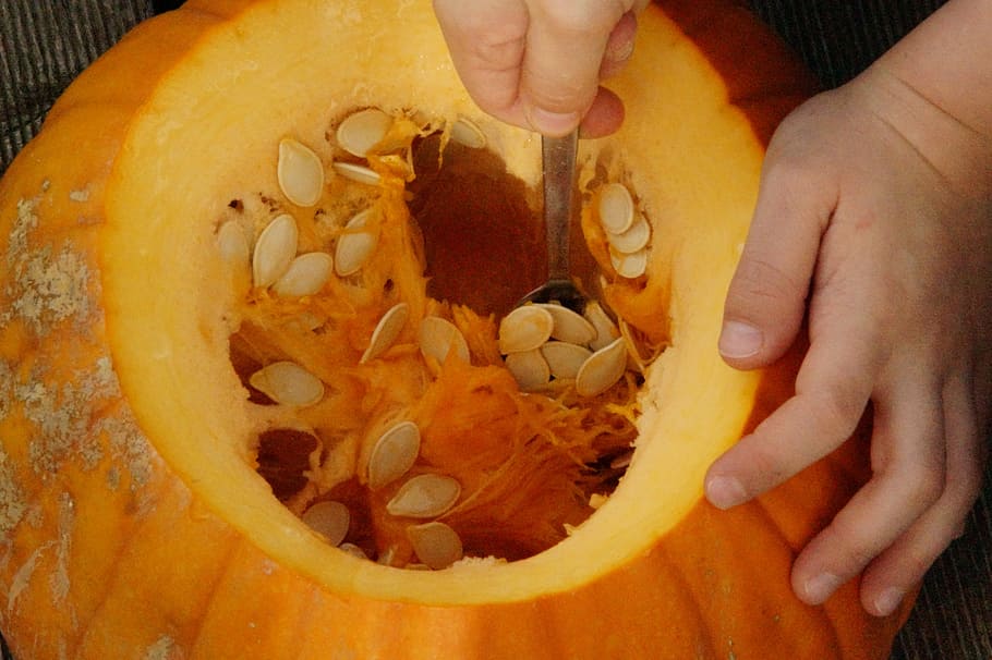 Pumpkin, Orange, pumpkins, bright, autumn, autumn decoration HD wallpaper