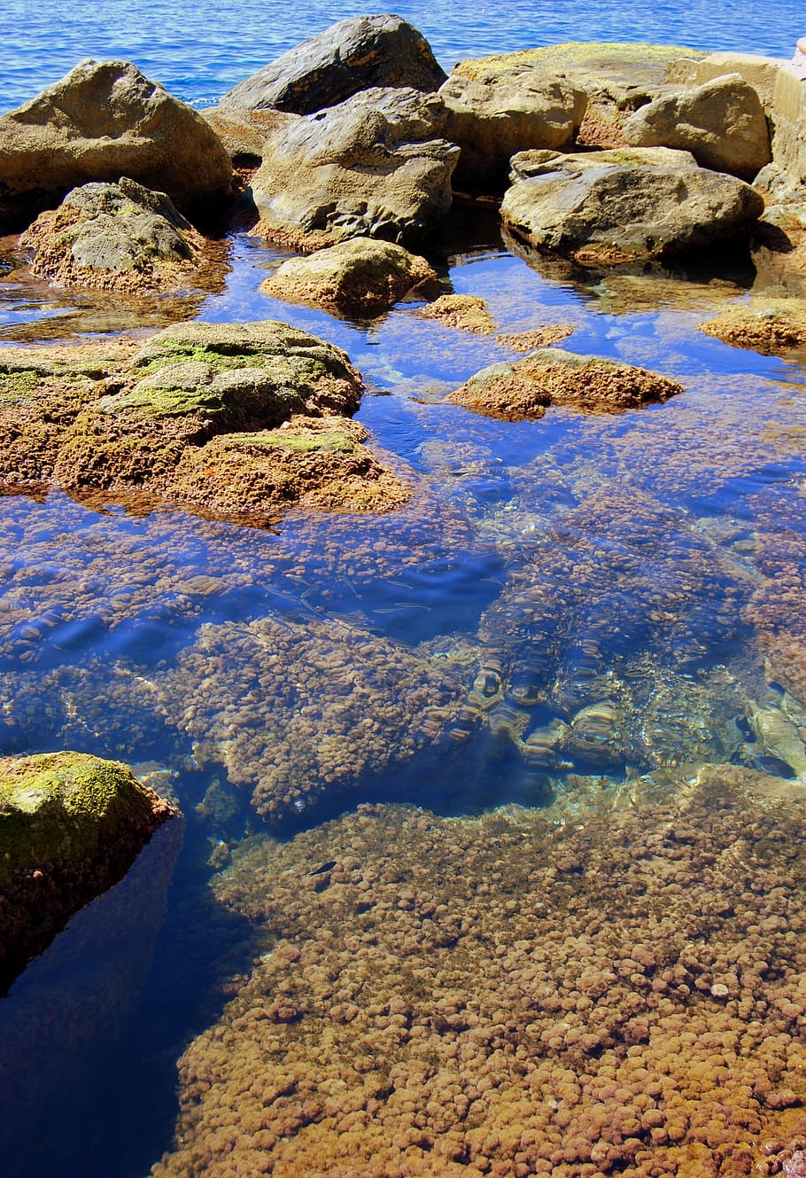 rocks, cliff, transparent, water, sea, clear, costa, beauty in nature HD wallpaper