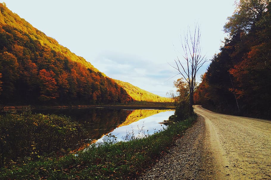 autumn, fall, forest, hiking, lake, landscape, nature, path HD wallpaper