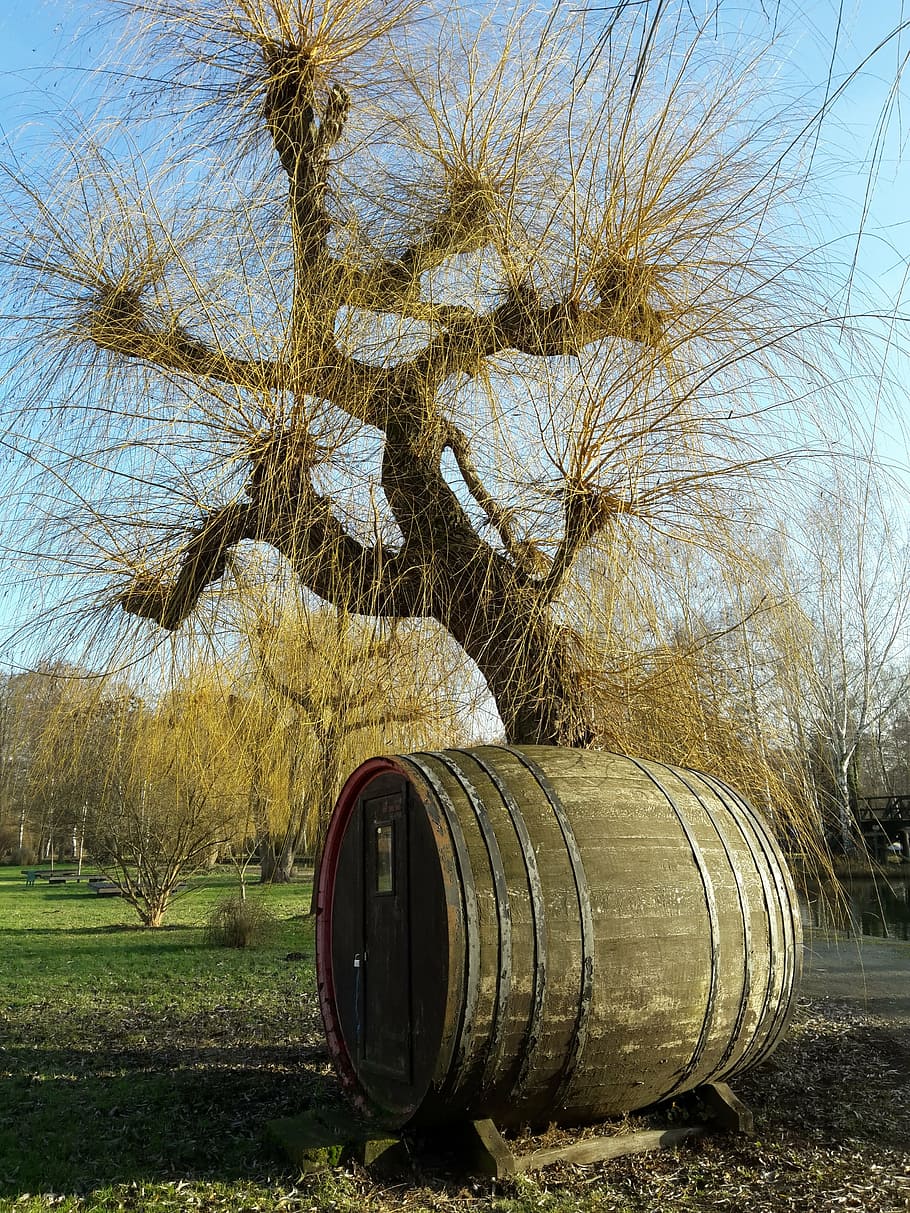 barrel, cucumbers barrel, pasture, spreewald, tree, outdoors HD wallpaper