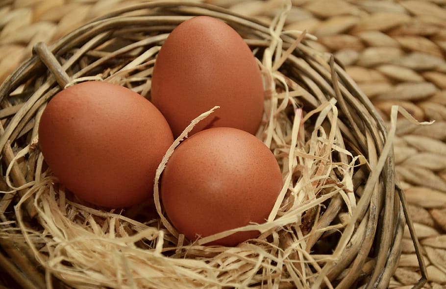 three brown eggs on nest, of course, wood wool, hen's egg, nutrition, HD wallpaper