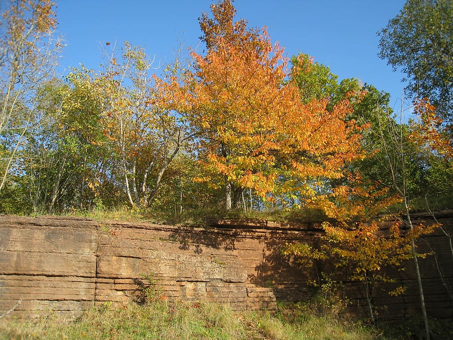 nature, sweden, tree, autumn, limestone quarry, plant, change HD wallpaper