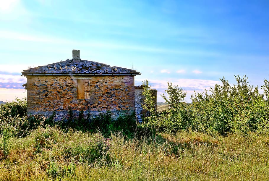 old, ruin, architecture, dilapidated, nature, grass, summer HD wallpaper