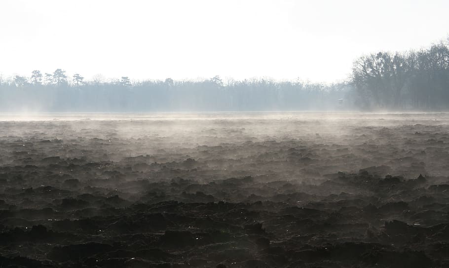 Earth, Mist, Morning, Nature, Fog, early in the morning, tranquility HD wallpaper
