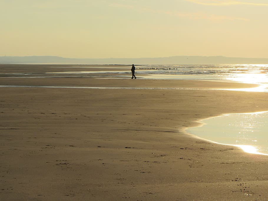 man, market, beach, evening, pas de calais, france, sunset HD wallpaper