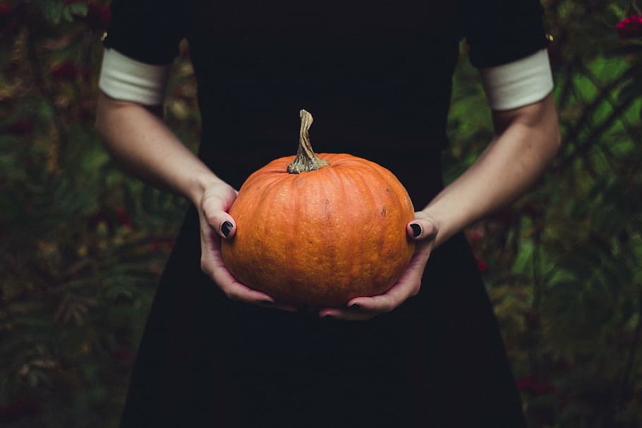 woman holding pumpkin, close-up, food, fruit, halloween, hands HD wallpaper