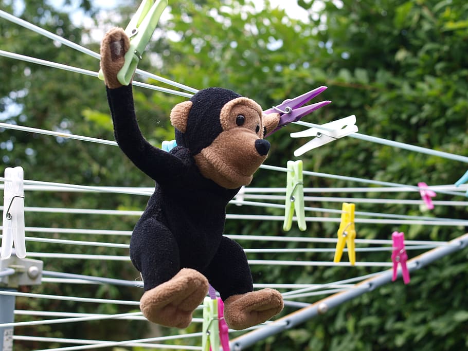 toy, chimp, washing, drying, plant, tree, focus on foreground HD wallpaper