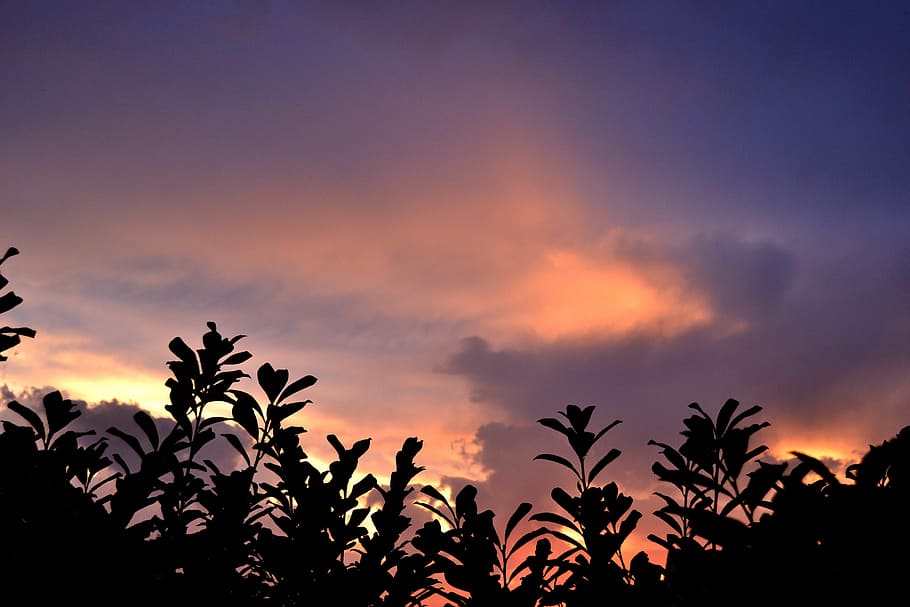 sunset, clouds, contrast, sky, summer, summer evening, dramatic clouds HD wallpaper
