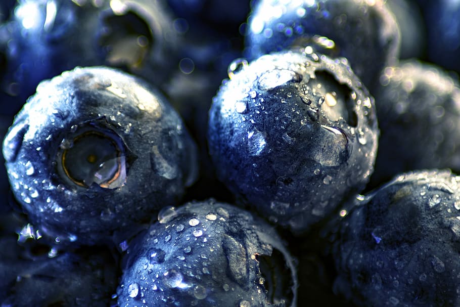 blue berries with water dews, blueberry, black berry, moll berry, HD wallpaper