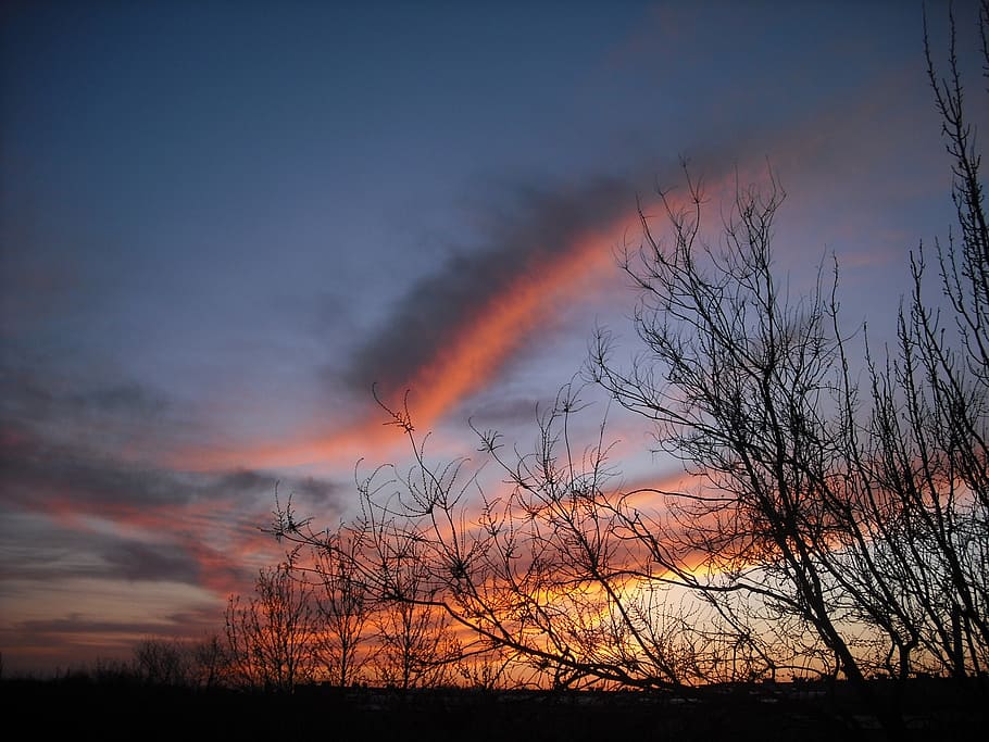 haze, sunset, sky, nature, evening, tree, orange Color, outdoors HD wallpaper