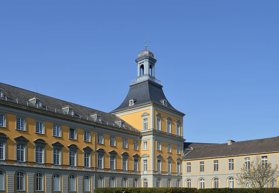 university, bonn, building, architecture, old, historically HD wallpaper