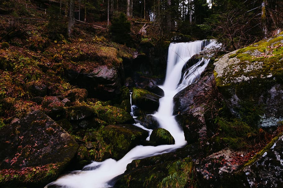 nature, water, forest, brook, creek, source, stream, waterfall HD wallpaper