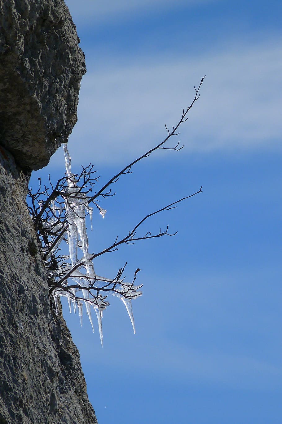 ice, training, winter, cold, nature, gel, frost, transparency HD wallpaper
