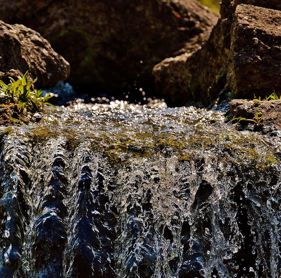 water, bach, nature, forest, moss, landscape, flow, clear, rock HD wallpaper