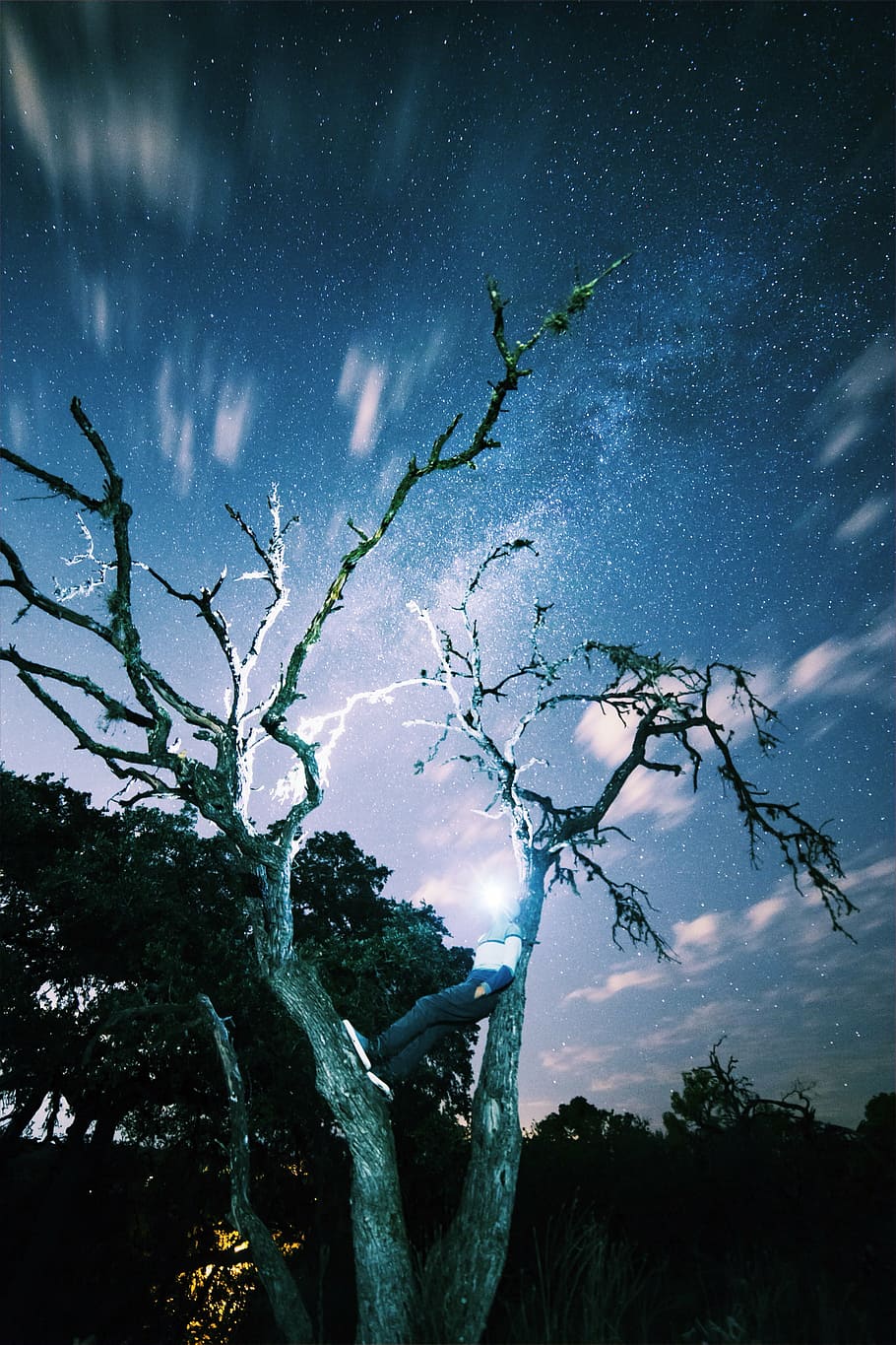 long-exposure, night, person, sky, stargazing, stars, time lapse HD wallpaper
