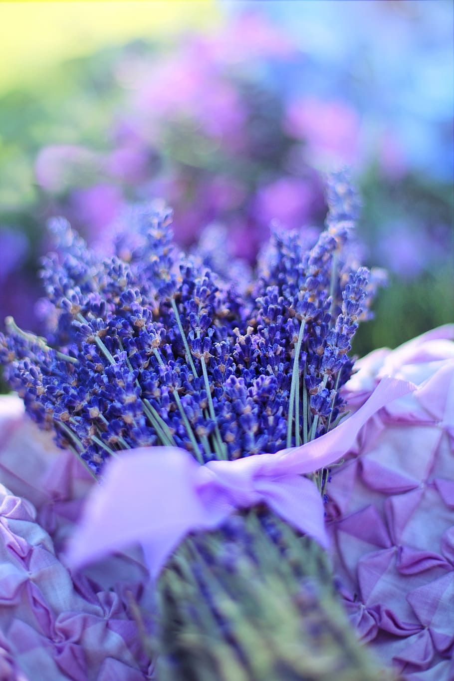 blue lavenders bouquet selective-focus photo, close up photography HD wallpaper