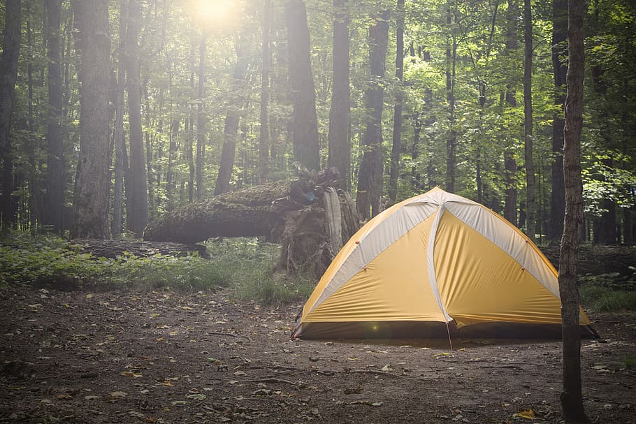 Happy Place, yellow and white dome tent near trees during daytime HD wallpaper