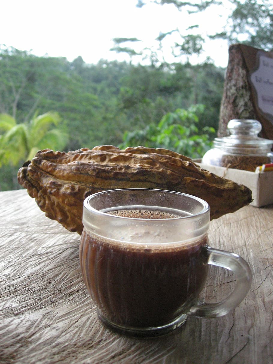 glass coffee on brown surface, bali, cacao, drink, cup, food HD wallpaper
