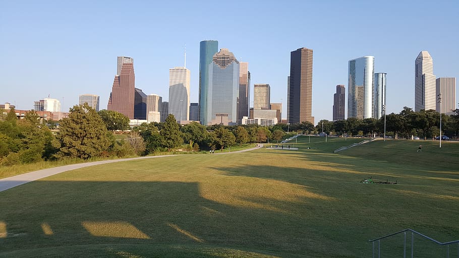 green grass and high rise building under blue sky, houston, downtown, HD wallpaper