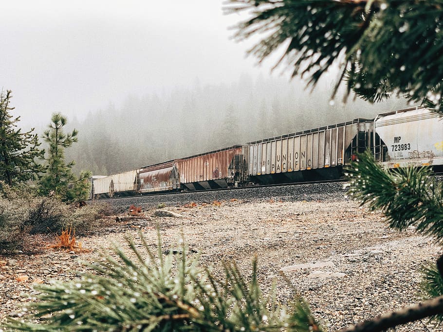 white and brown train in railroad in forest, gray and brown train during daytime HD wallpaper