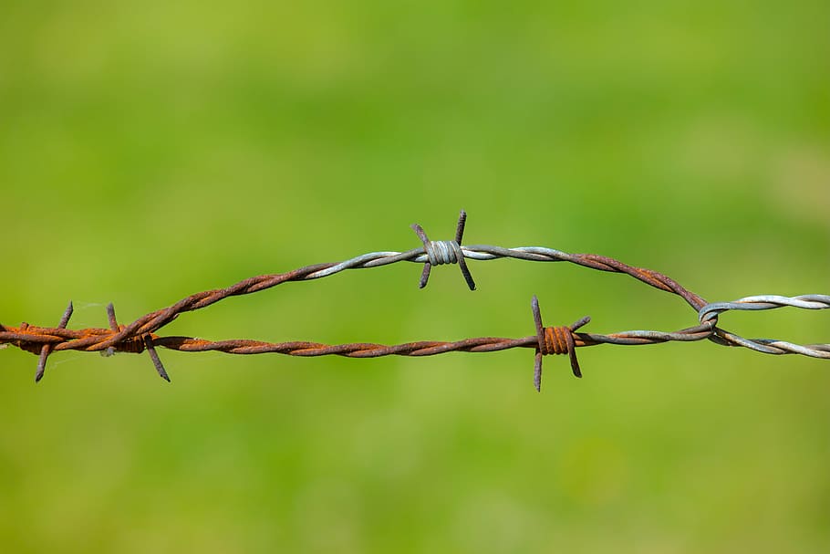 barbed wire, fence, stainless, pasture, meadow, rusty, demarcation, HD wallpaper