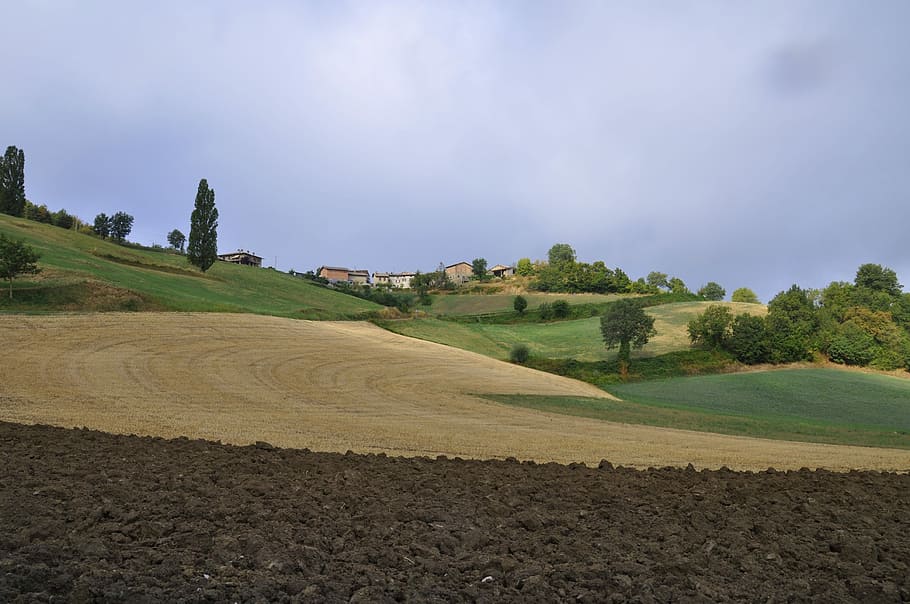 landscape, nature, panoramic, tree, campaign, plowed, sky, environment HD wallpaper