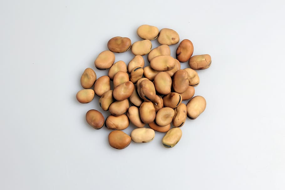 seeds, bean, nutrients, the pod, healthy food, background, beans