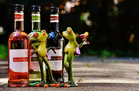frogs, wine, drink, restaurant, weinstube, alcohol, figure HD wallpaper