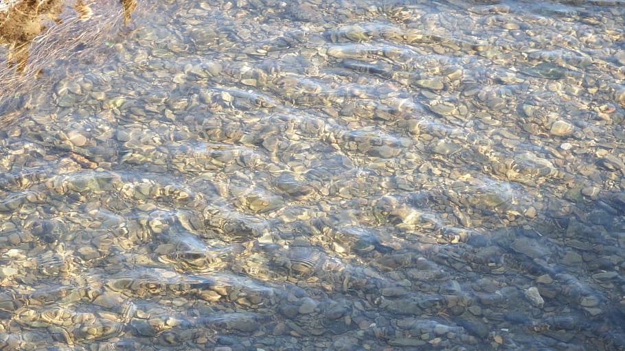 Waters, Clear, Bach, water surface, no people, backgrounds HD wallpaper