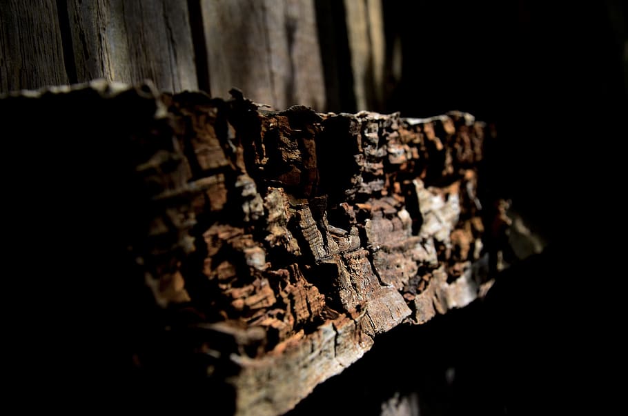 wood, morsch, old, rotten wood, broken, rots, weathered, range, HD wallpaper
