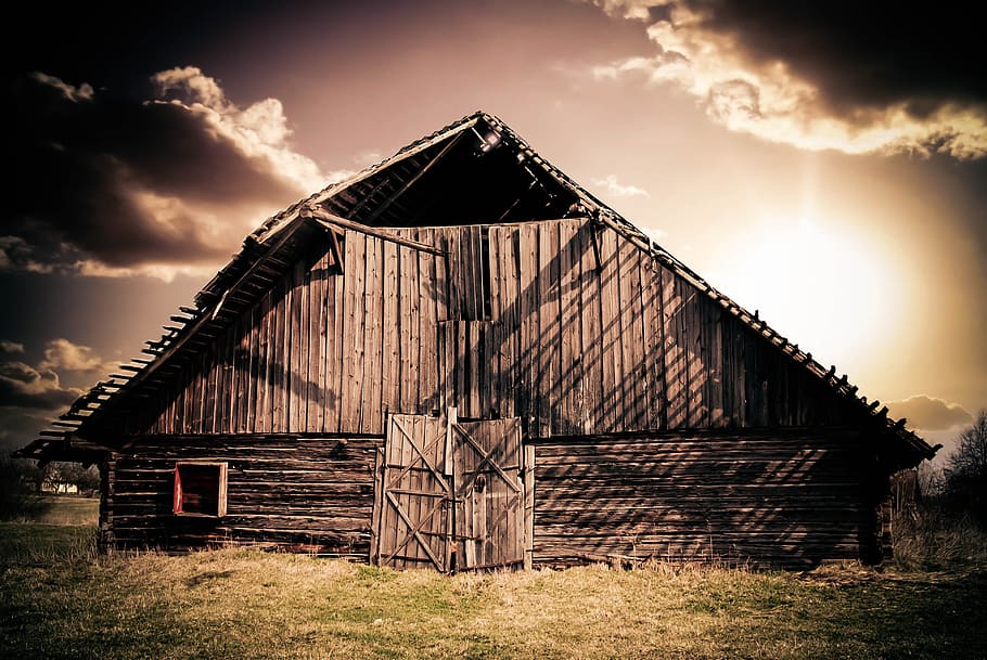 brown barn, scale, log cabin, hut, lapsed, heustadel, meadow HD wallpaper