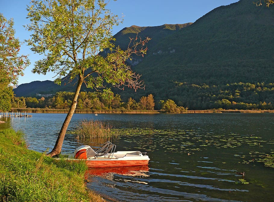 lake, tree, nature, landscape, autumn, water, river landscape HD wallpaper