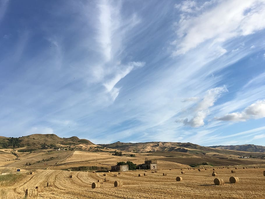 sicily, wheat, landscape, sky, agriculture, campaign, cloud HD wallpaper