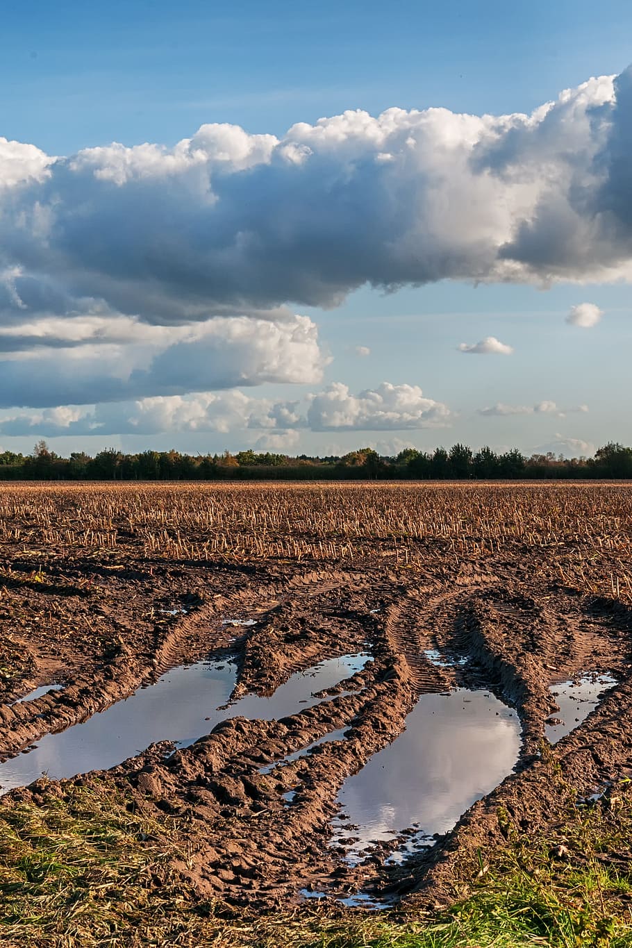 Fallen field