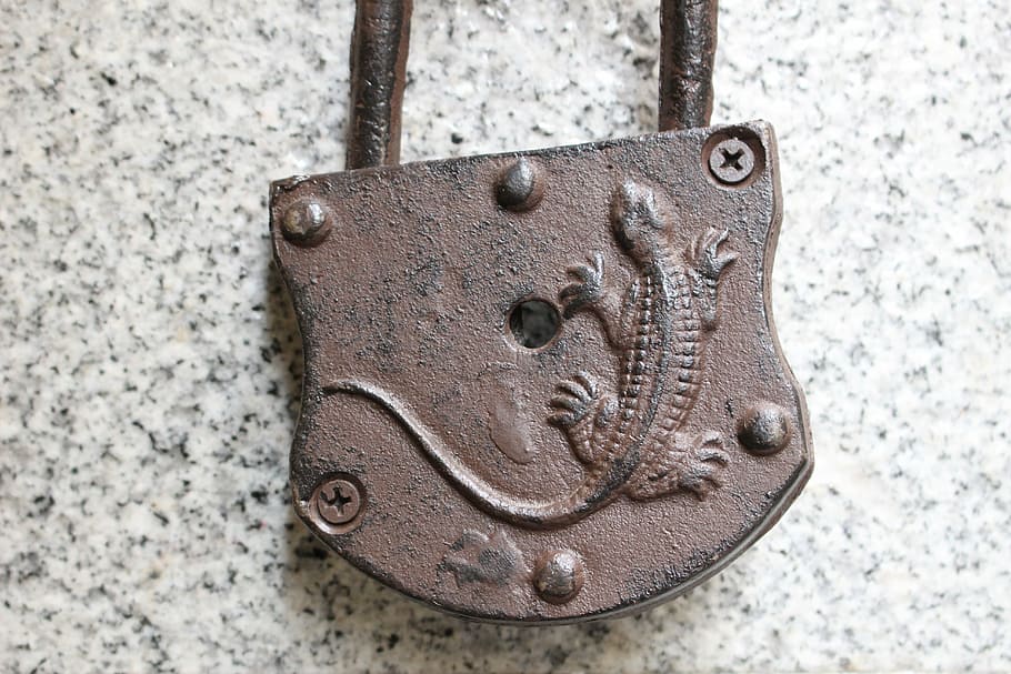 padlock, iron, rust, gecko, close-up, no people, old, rusty HD wallpaper