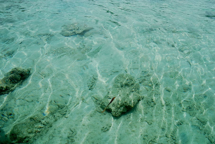 clear, water, nature, clean, clean water, water background HD wallpaper