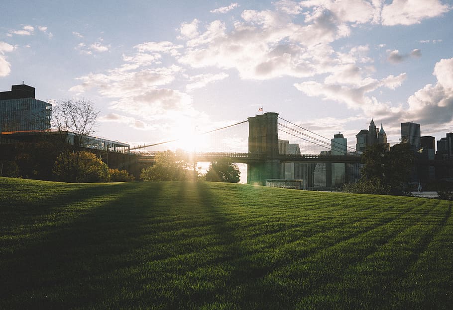 Brooklyn bridge during daytime, green grass field during daytime