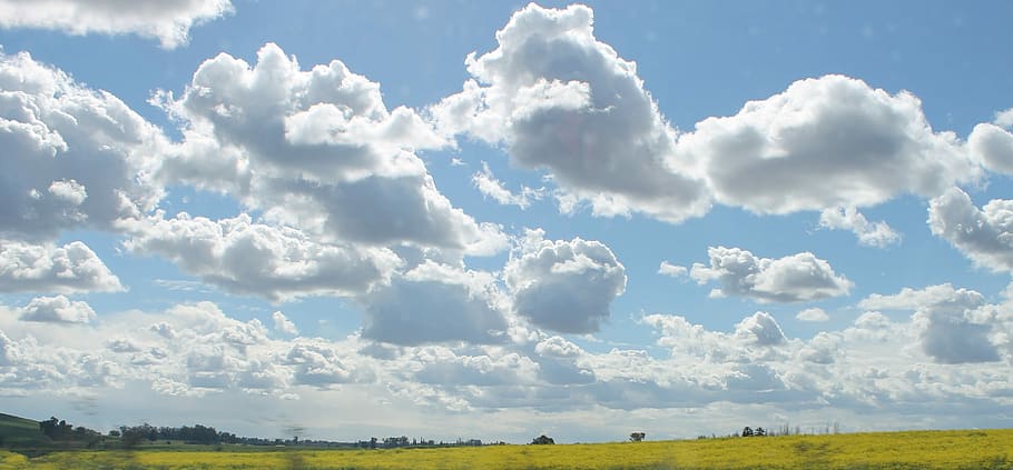 Clouds, Sky Blue, Yellow, White, Nature, landscape, field, green HD wallpaper