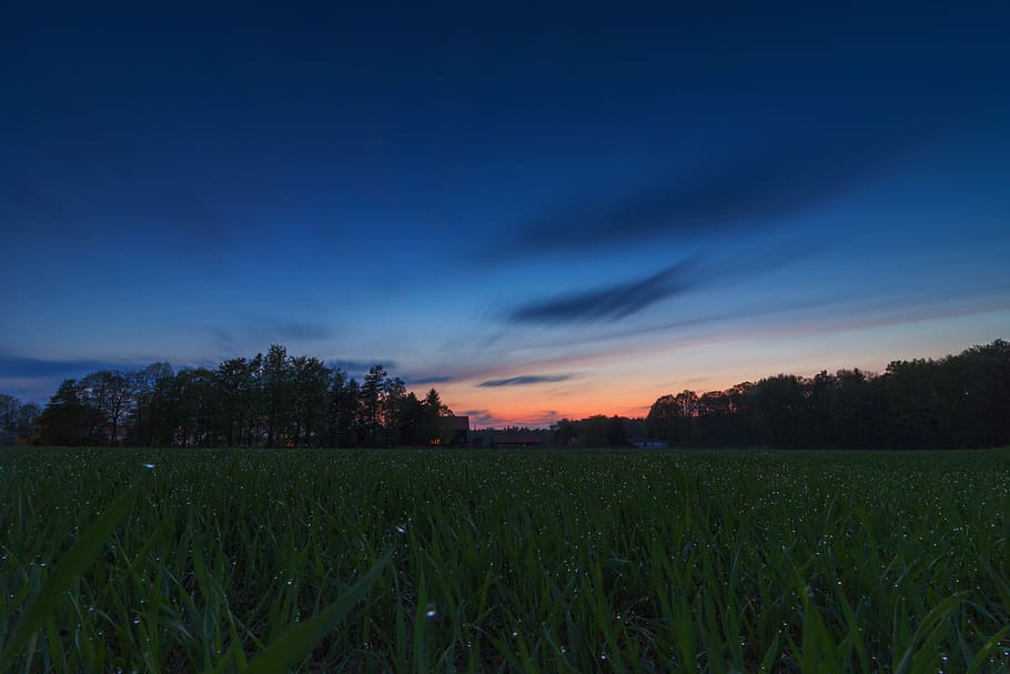 sunset, nature, evening sky, abendstimmung, landscape, plant HD wallpaper