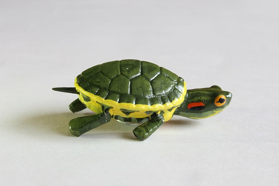 turtle, crafts, decoration, reptile, one animal, animal themes HD wallpaper