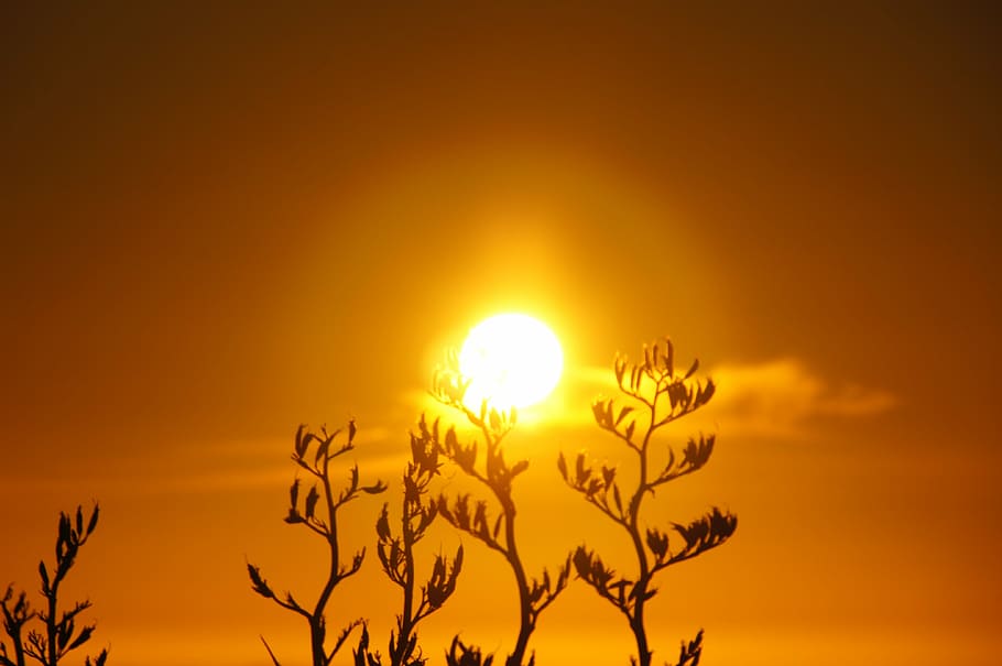 sunrise, grass, aperture, orange, sky, light effect, new zealand HD wallpaper