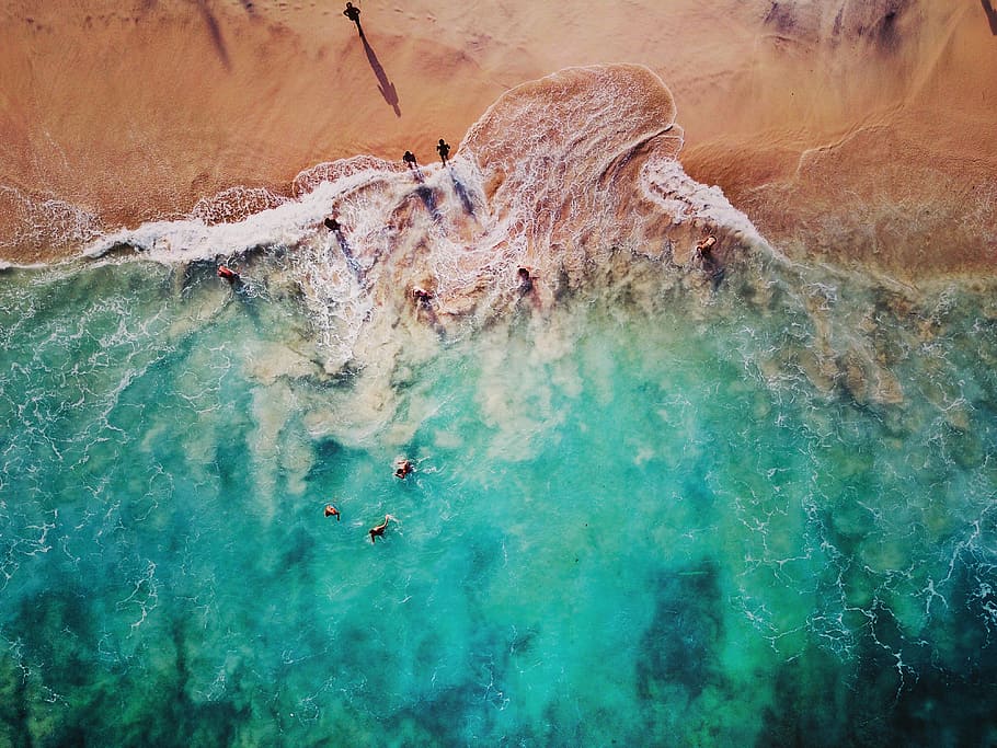 aerial view photography of people at seashore, aerial view of people walking on shoreline HD wallpaper