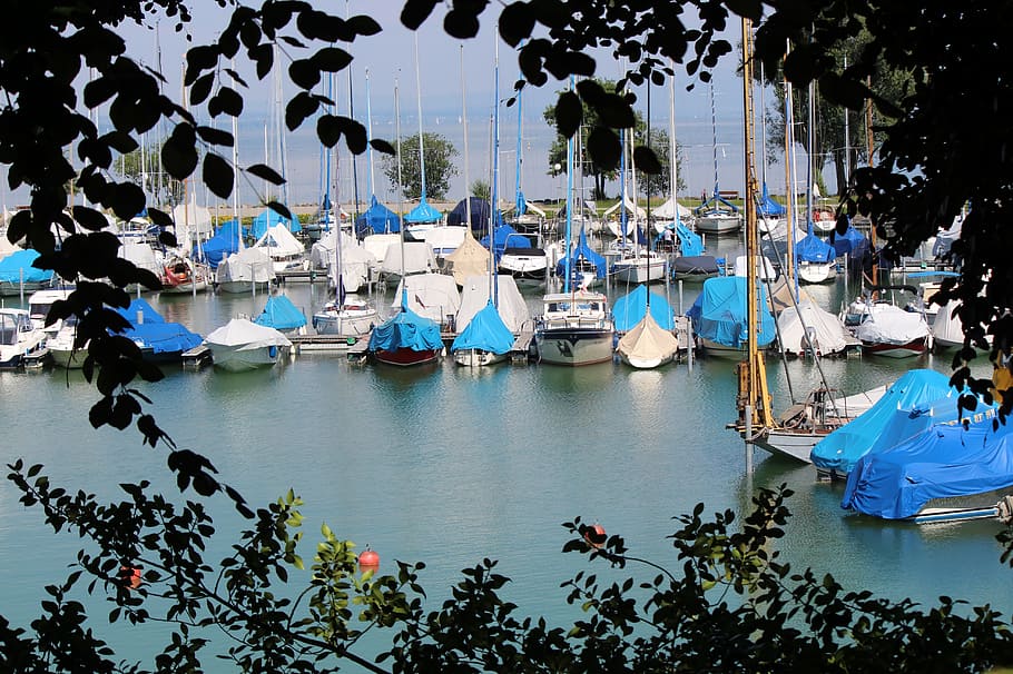 mood, atmosphere, branches, lake, boats, summer, lake constance HD wallpaper