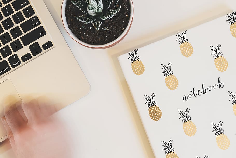 person using MacBook, pineapple, dessert, appetizer, fruit HD wallpaper
