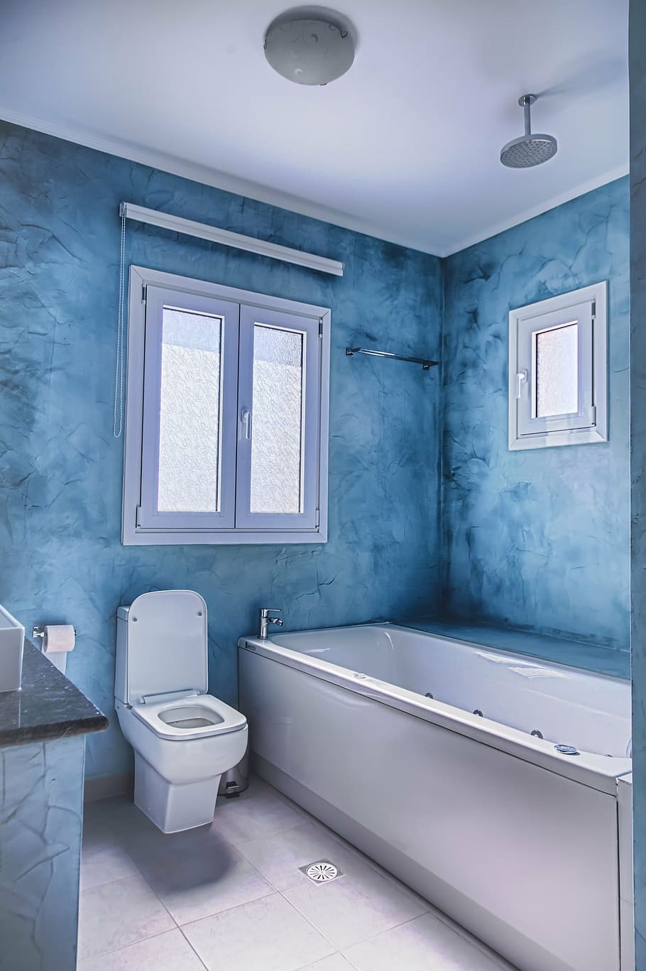 white ceramic sink, flash toilet and white window frame, species