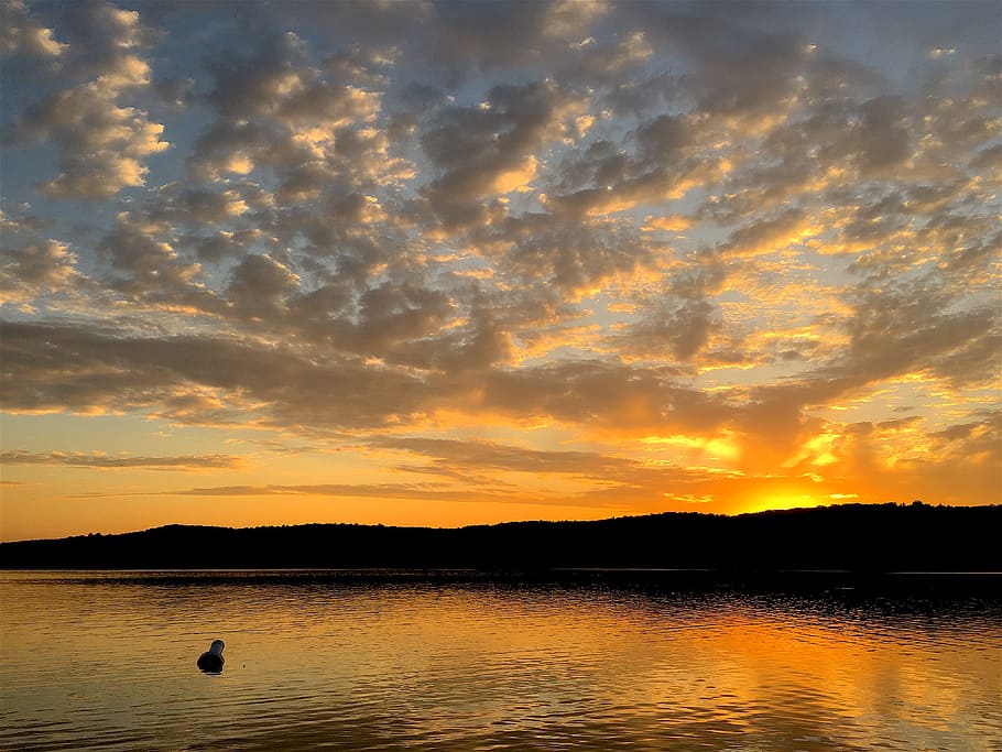 dawn, nature, sky, sunset, backlit, calm, clouds, dramatic, dusk HD wallpaper