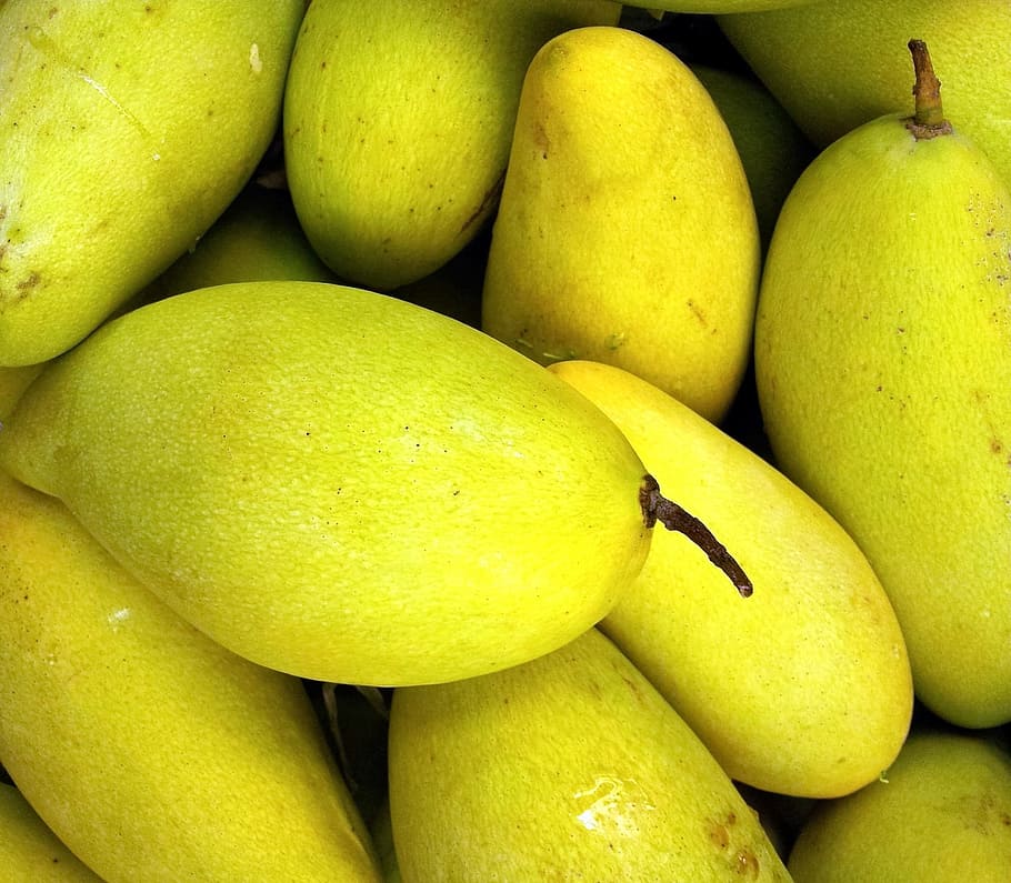 close-up photo of green mangoes, Fruit, Fresh, Healthy, Sweet
