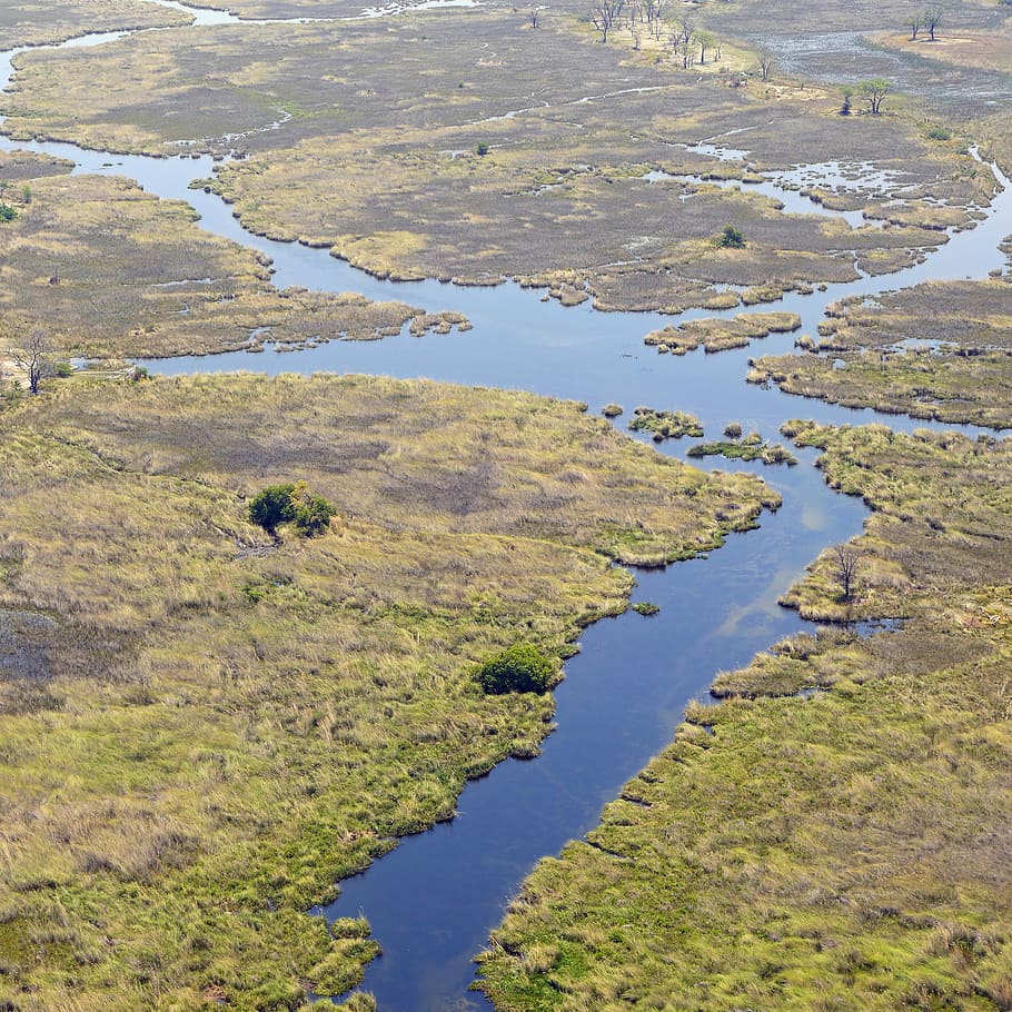 Africa, Okavango Delta, Wilderness, botswana, water, reflection, HD wallpaper